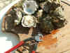 PICT0111.JPG (846572 octets)
